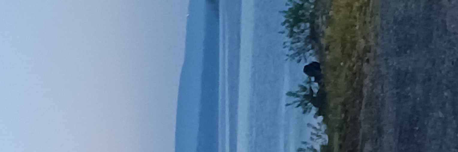bullick16's profile banner image