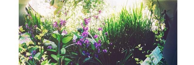 EmmaGraves6's profile banner image