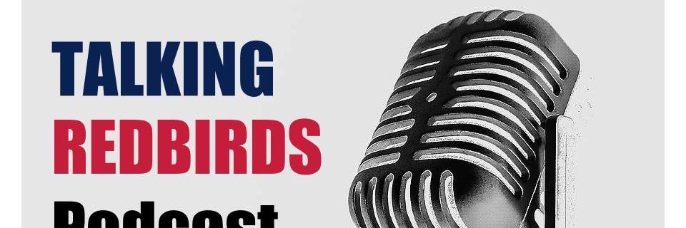 talkingredbirds's profile banner image