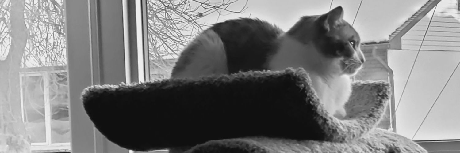Hamish_14's profile banner image
