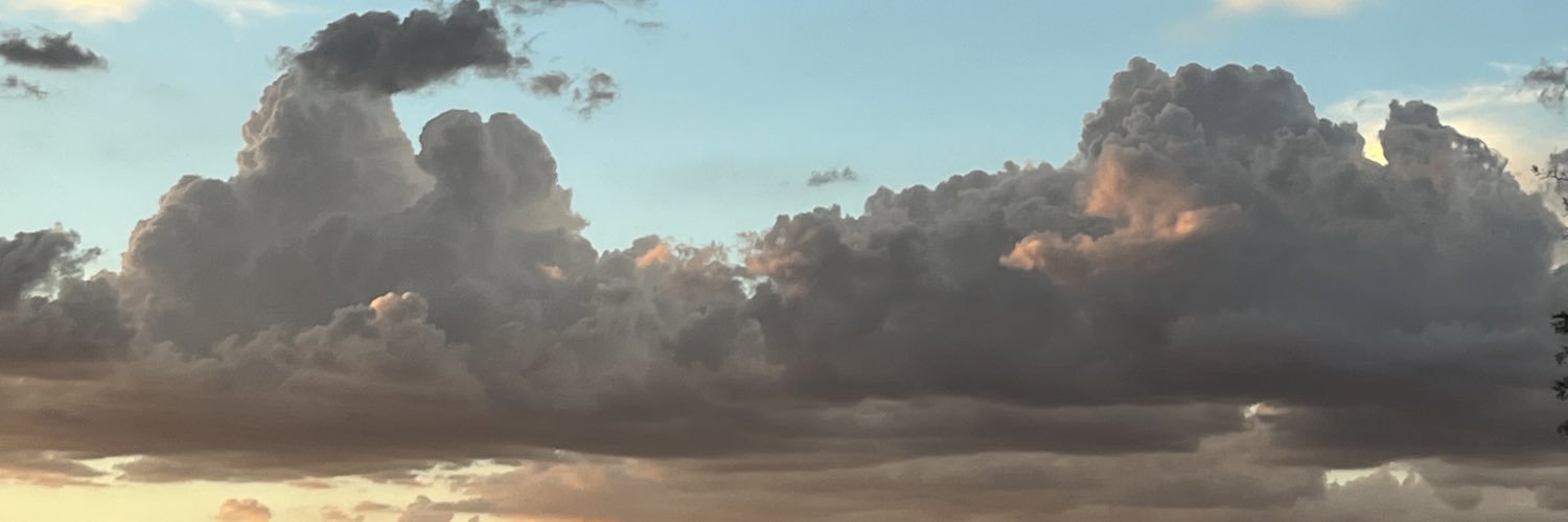 arianaawtf's profile banner image