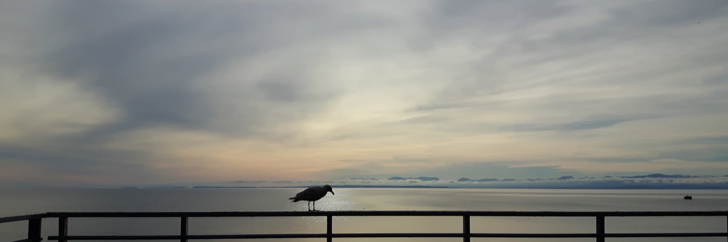 JazzflyVideo's profile banner image