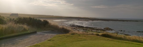 lynnep45 Profile Banner