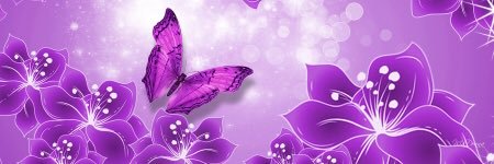 PattiBaroni's profile banner image