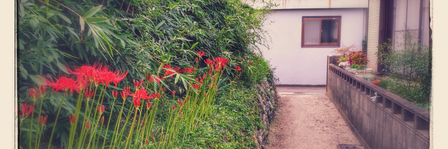 Yuki_312's profile banner image