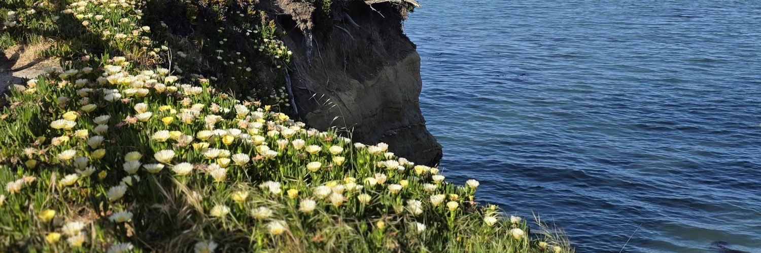 maggiecees's profile banner image