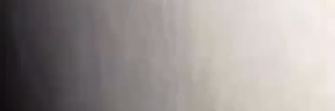 Dann banner