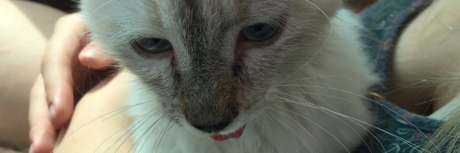 MostViralTweets's profile banner image