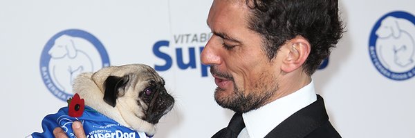 gandyisgod Profile Banner