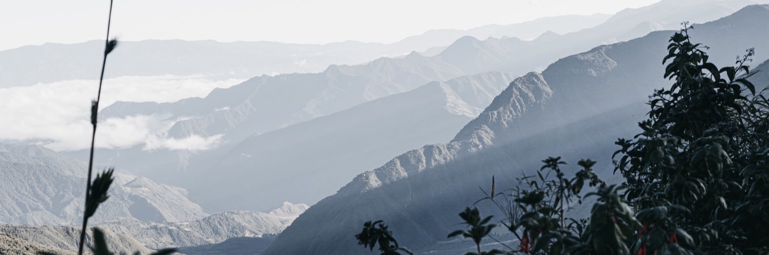 MikaInsuasti's profile banner image