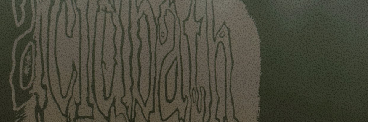 notdanisha's profile banner image