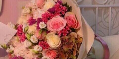 ميار البحر banner