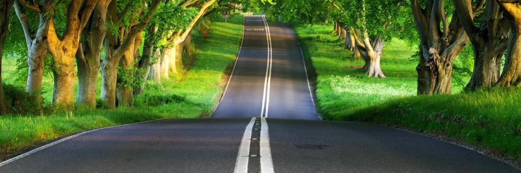 saridjal n ajijul banner