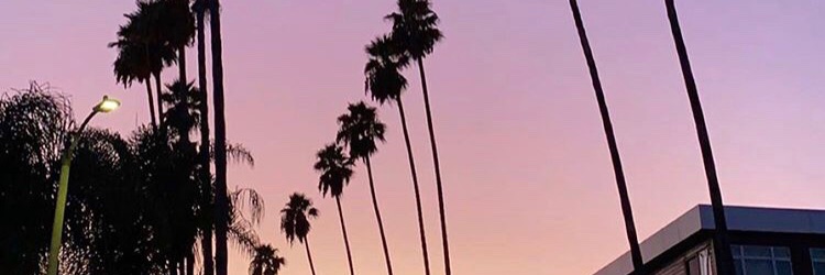 LaudeeM's profile banner image