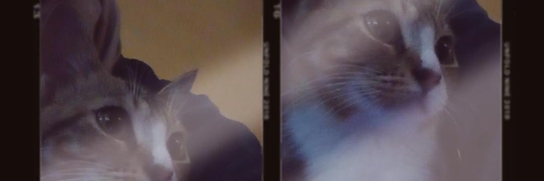 ahdiranum's profile banner image