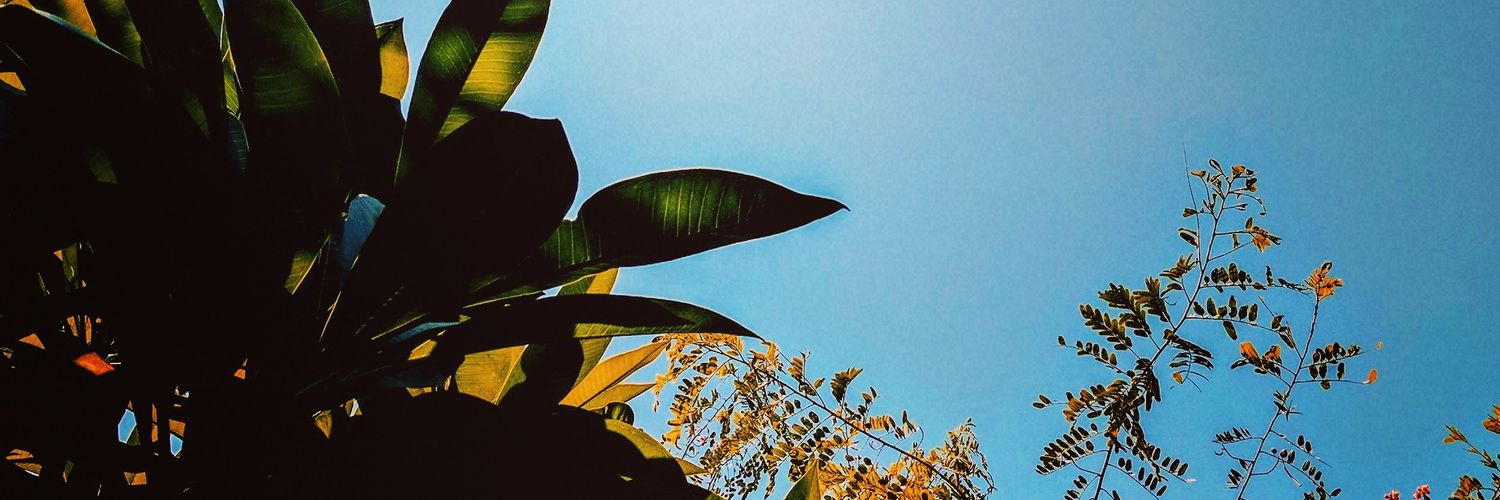 kirrat_sachdeva's profile banner image