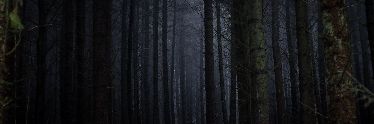 aybukst's profile banner image