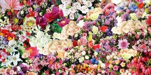 bseltzz's profile banner image