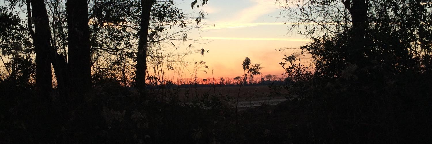 SmallTalkGa's profile banner image