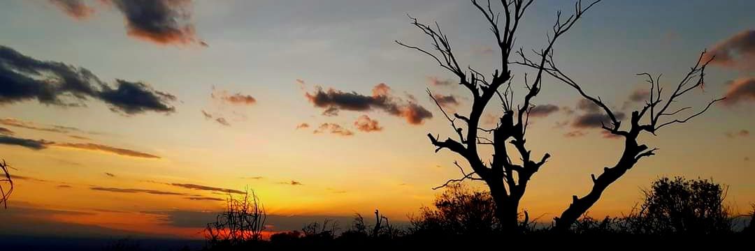 jonathantiati's profile banner image
