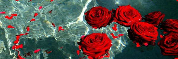 intomyfoyer Profile Banner