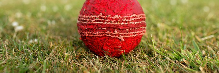 Elsecar Cricket Club banner