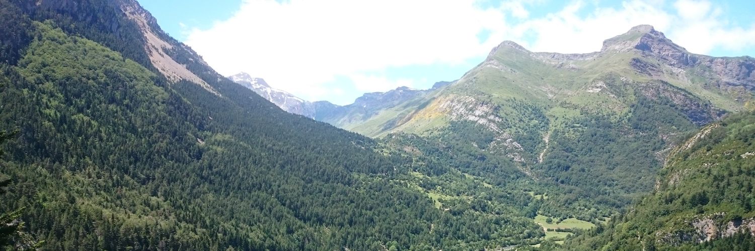 Jesgalop's profile banner image