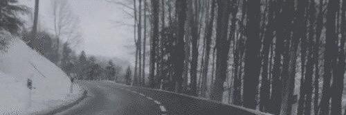 murmur2031's profile banner image