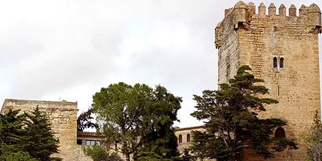 SSMontemayor's profile banner image