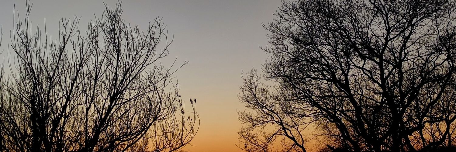 Maitane Etxeberria banner