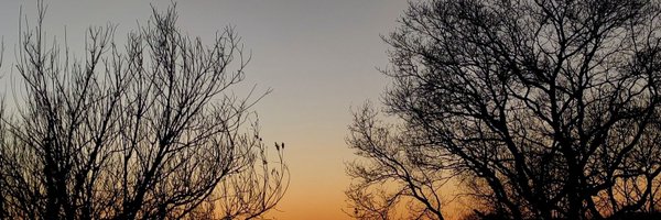 maitane_97 Profile Banner