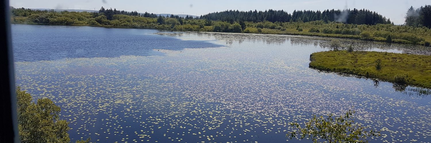 🏴󠁧󠁢󠁷󠁬󠁳󠁿TheHawk🏴󠁧󠁢󠁷󠁬󠁳󠁿 banner