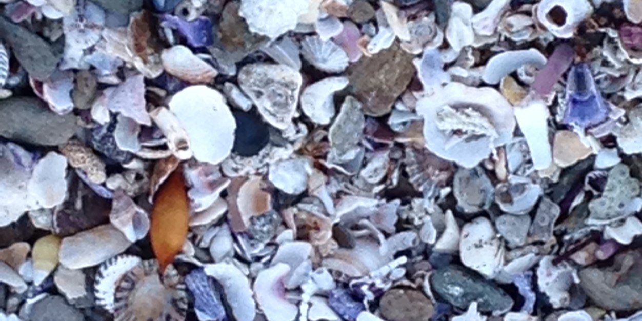 DonnaClark4's profile banner image