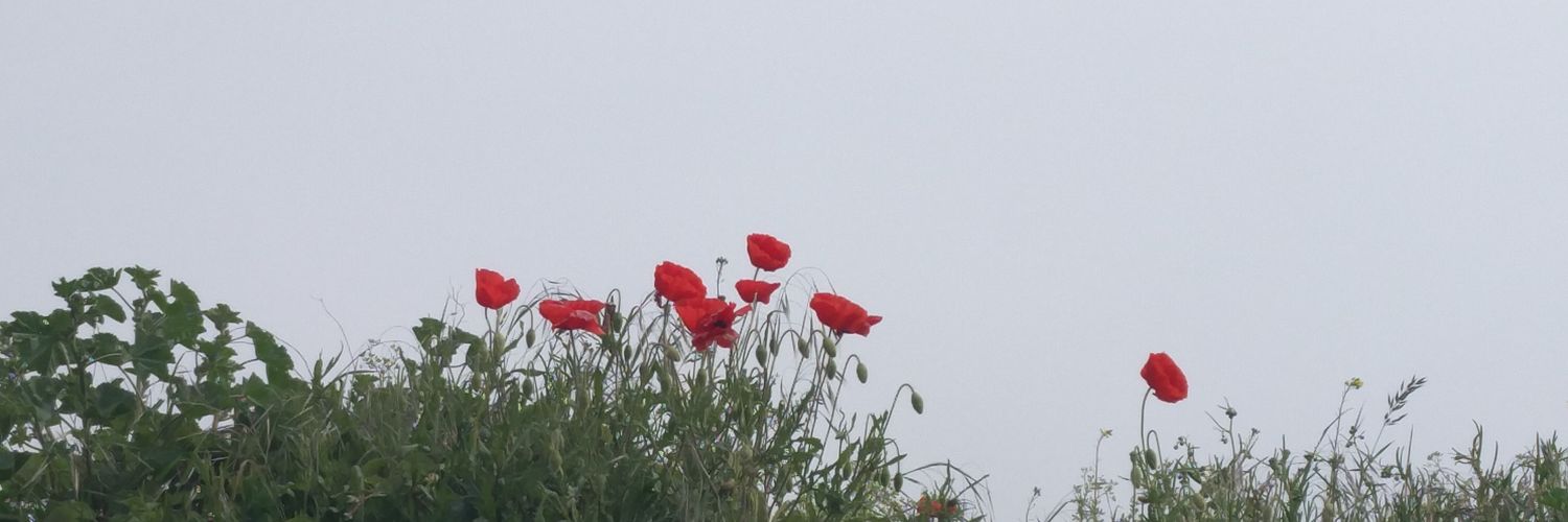 Christine Copers banner