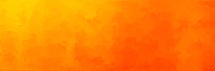 Zyger banner