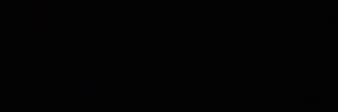 Paanic_ banner