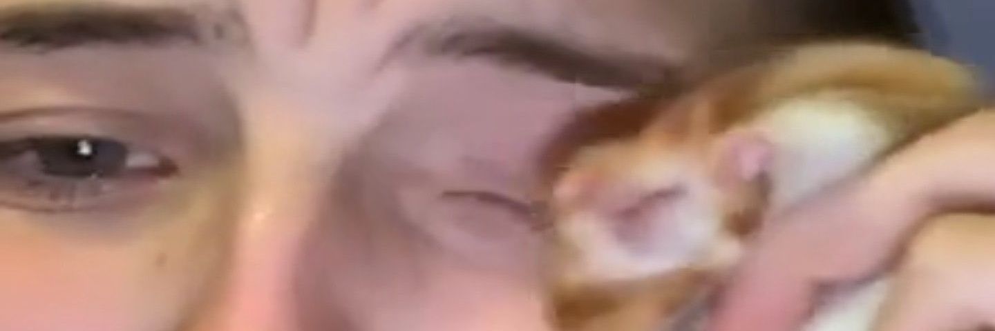 julshup's profile banner image