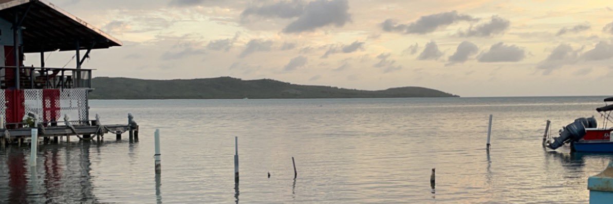 BeboskingB's profile banner image