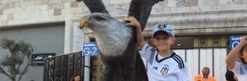 iarici1979's profile banner image