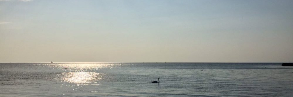 Fattane Zarrinkalam banner