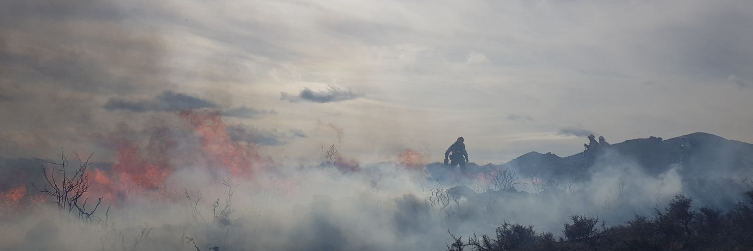 Fermín Iñarrea banner