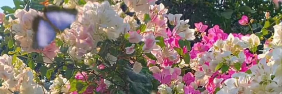 ivx_33's profile banner image