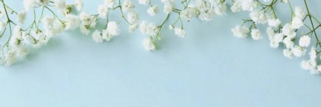 258256_'s profile banner image