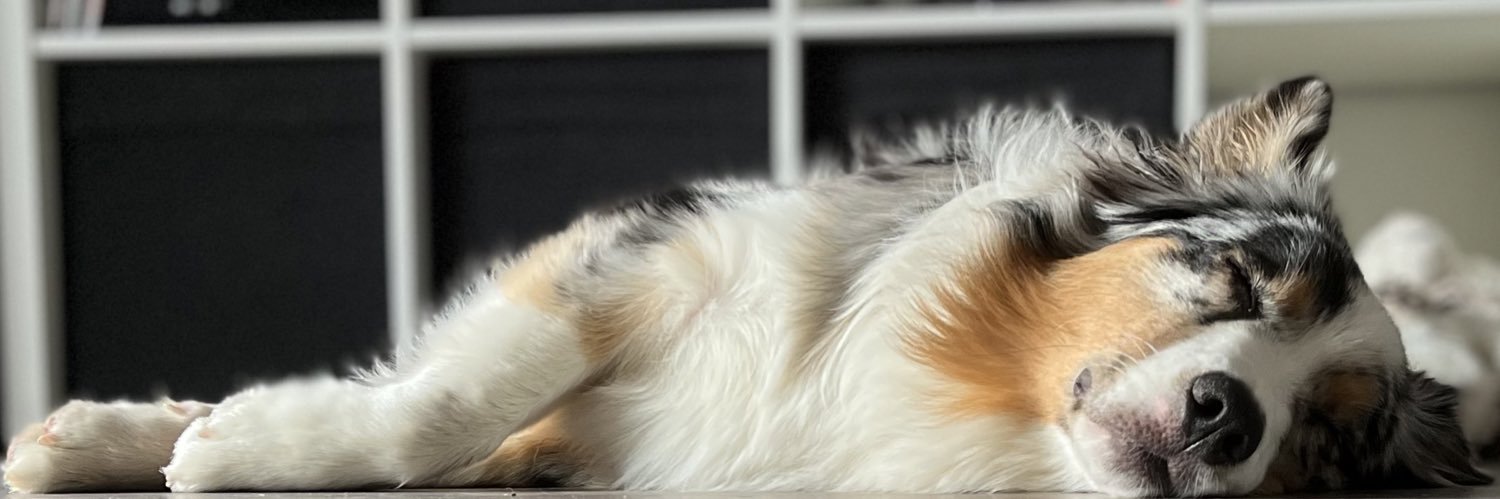 CdrtColine's profile banner image