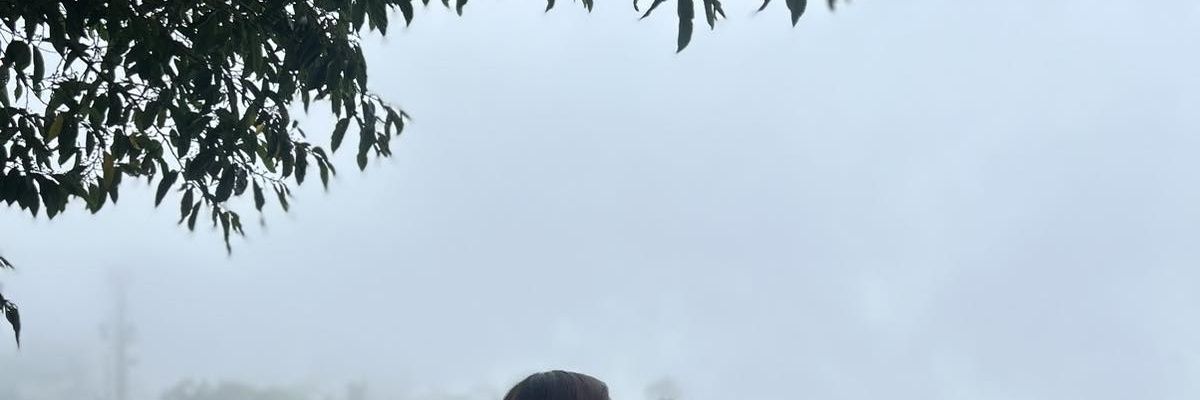 RexJinII's profile banner image