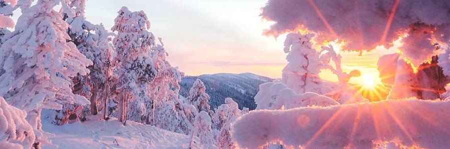 omgUsoPerfect's profile banner image