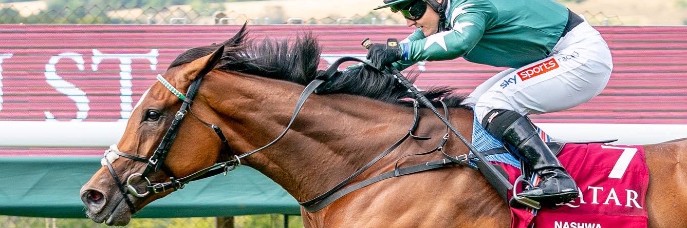 Blue Diamond Stud banner