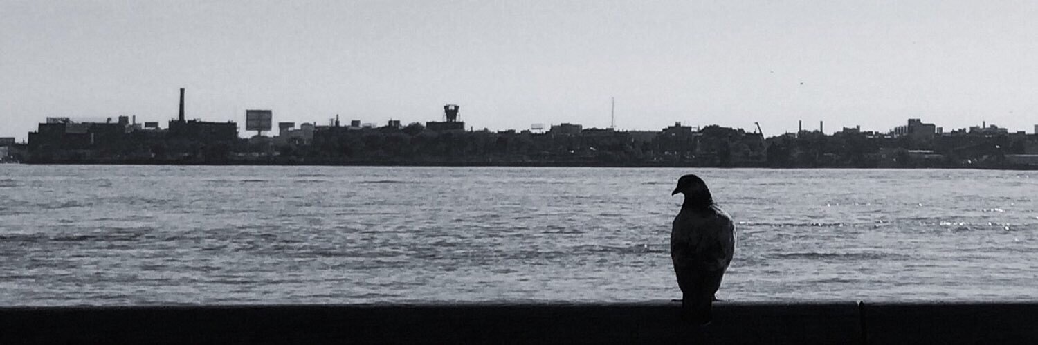 nadiah77's profile banner image