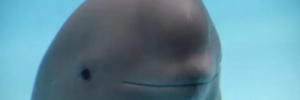 danielkwok21's profile banner image