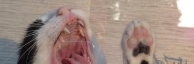 simjafum's profile banner image
